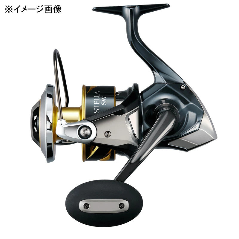 Japan Shimano 25 Stella SW 10000HG